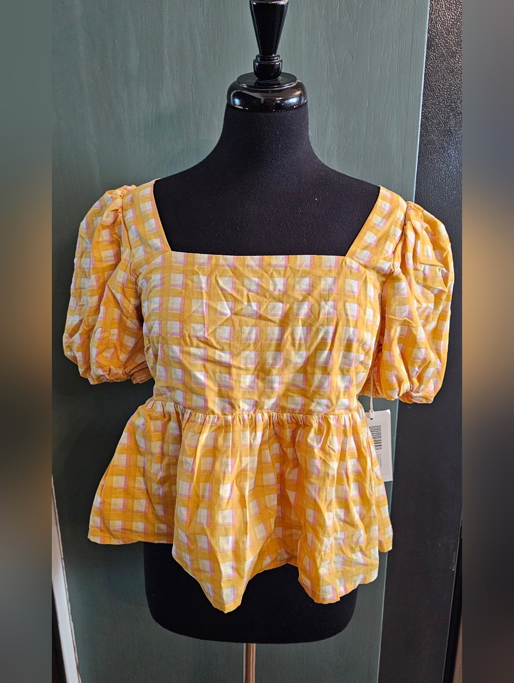 NWT Hudson North Top